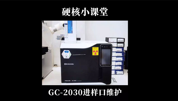 硬核小课堂-GC-2030进样口维护