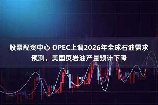 股票配资中心 OPEC上调2026年全球石油需求预测，美国页岩油产量预计下降