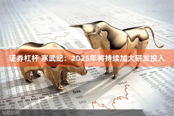 证券杠杆 寒武纪：2025年将持续加大研发投入